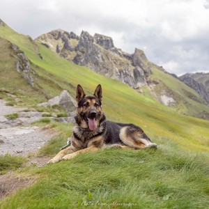 Rando Massif du Sancy juin 2023 by @NataFranceAuvergne-8956